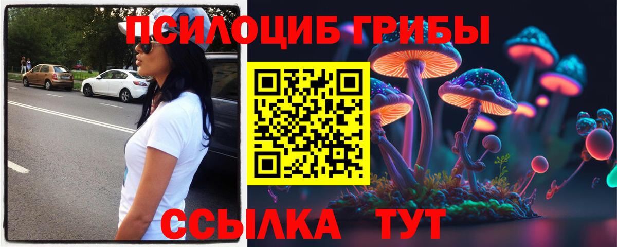 Псилоцибиновые грибы MAGIC MUSHROOMS  Вход с VPN  Мурманск  Галлюциногенные грибы прущие грибы 